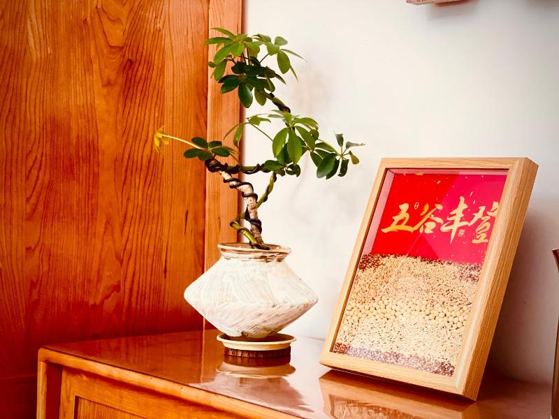定安厝 Ding'an Village 位于百年历史建筑群 近西湖 河坊街 南宋御街 - image 16