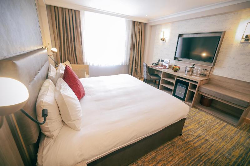 Superior Queen Room image 4