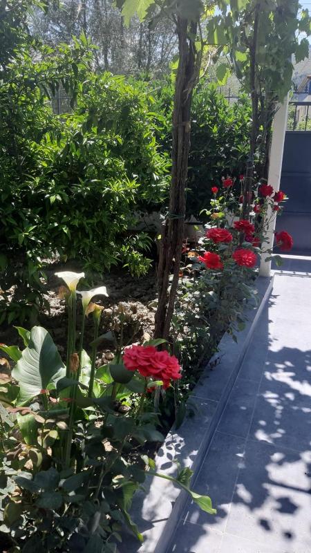 Guest House Emi - image 14