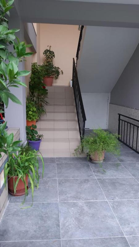 Guest House Emi - image 13