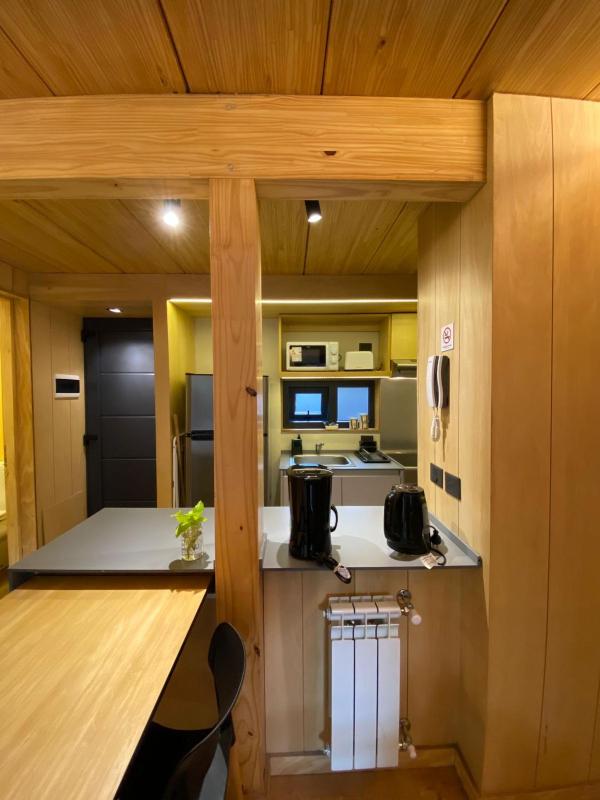 Monoambiente- Moderno y luminoso - image 10