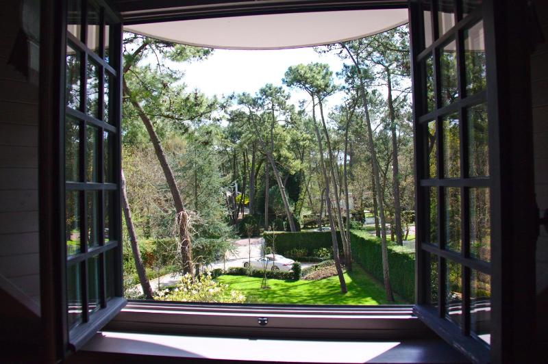 Suite image 4