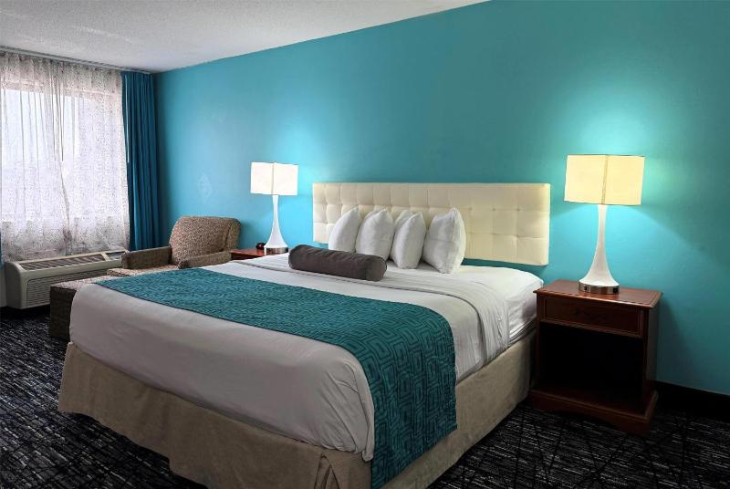 King Room - Non-Smoking image 1