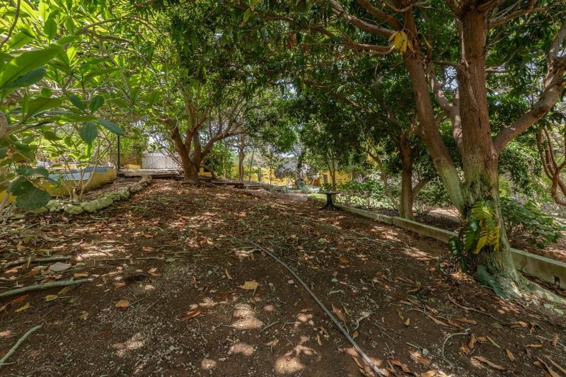 Villa Cas Grandi Curaçao - image 17
