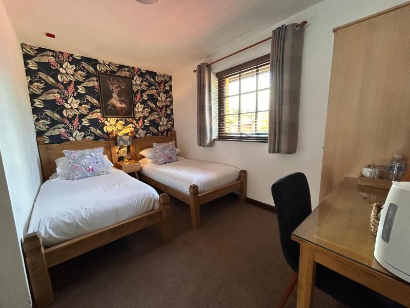 Twin Room image 1