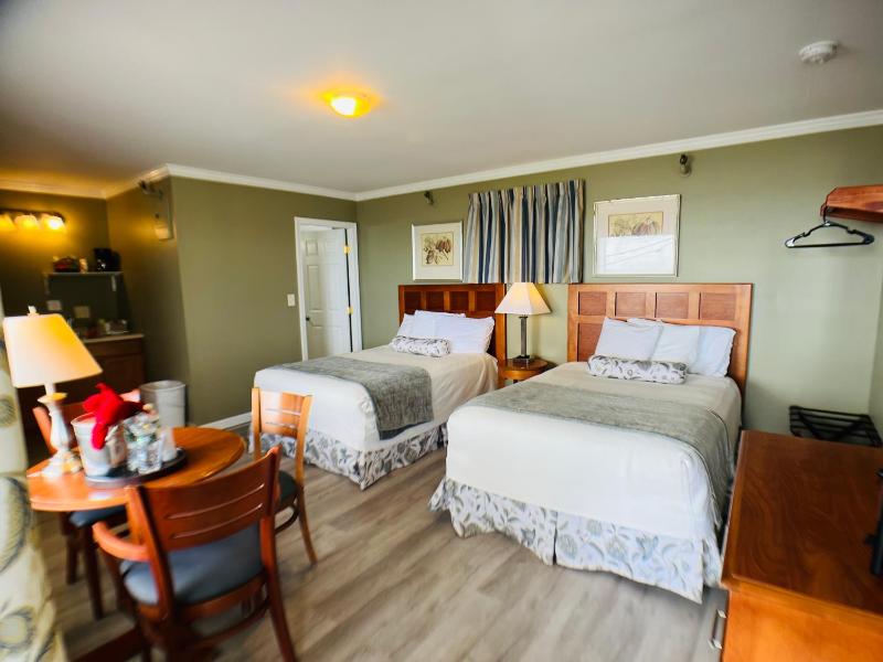 Deluxe Double Room with Kitchenette image 3