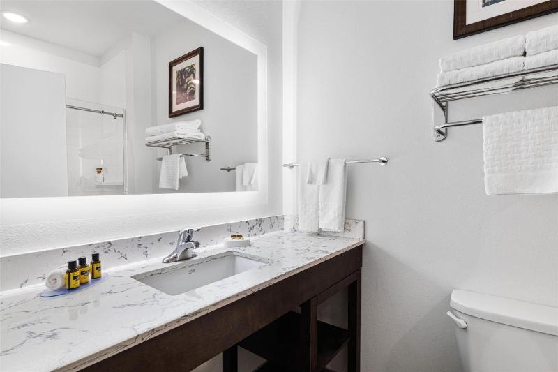 King Suite - Non-Smoking image 3