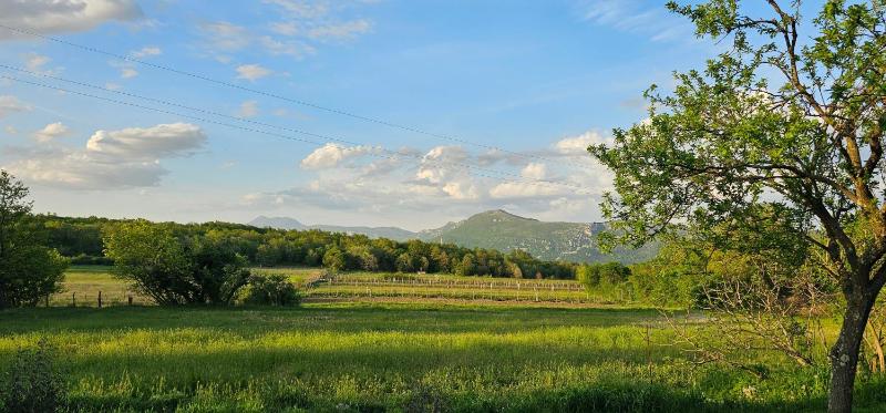 Family friendly house with a parking space Ripenda Verbanci Labin - 24476 - image 15