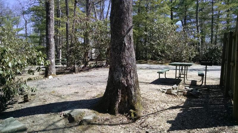 19 ft max RV Site Rental - Standard Back In Water/Electric 20 AMP BRING YOUR OWN RV image 3