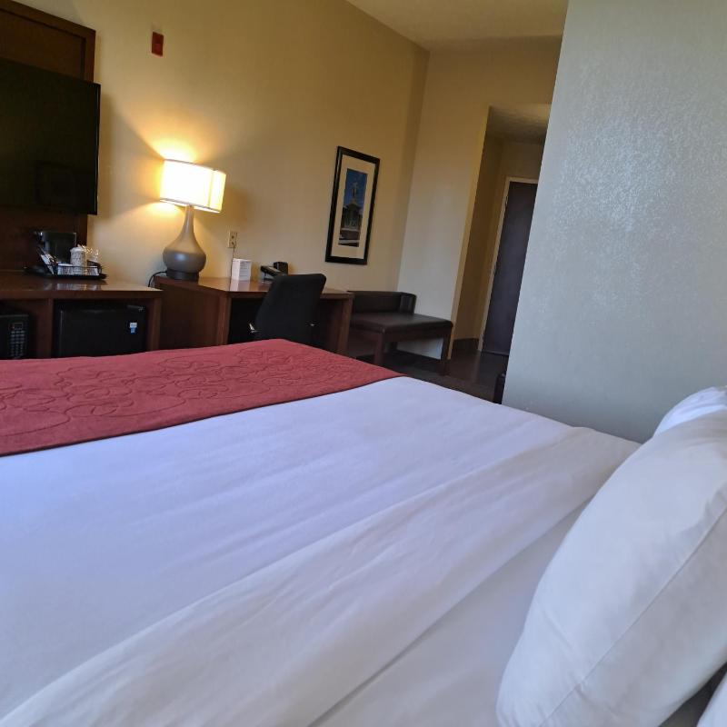 King Suite image 2