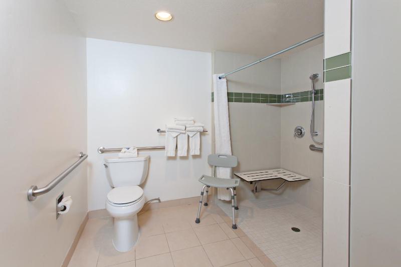 King Room with Roll-in Shower - Mobility Accessible/Non-Smoking image 1