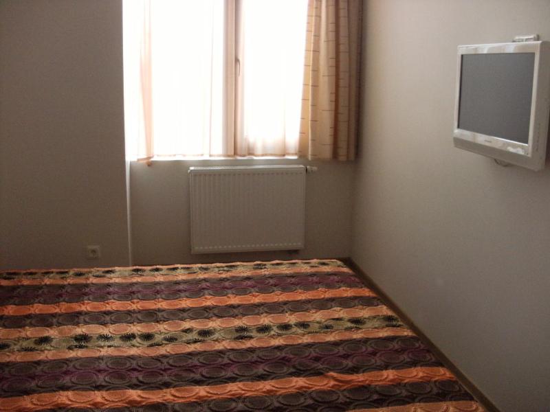 One-Bedroom Apartment image 2