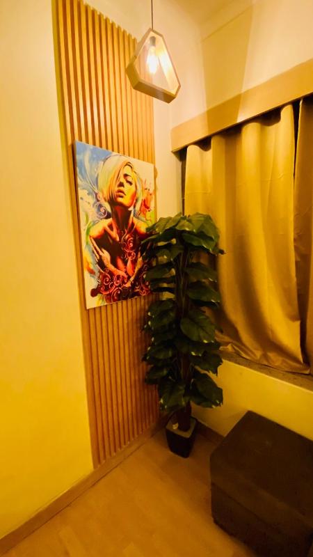 Beautiful entire studio - image 8
