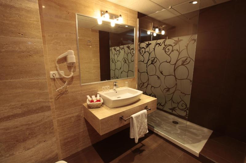 Double or Twin Room image 4