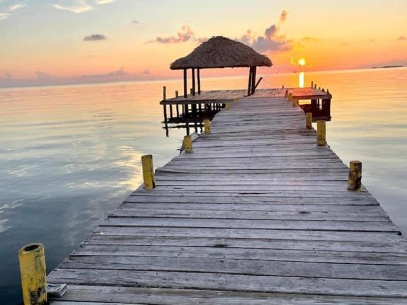 Castaway Blue Hole Long Caye - image 15