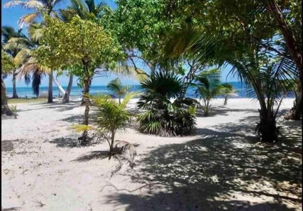 Castaway Blue Hole Long Caye - image 8