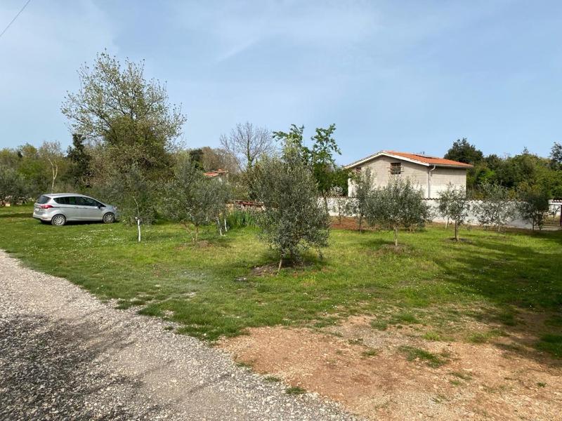 Apartment Orangina - image 1