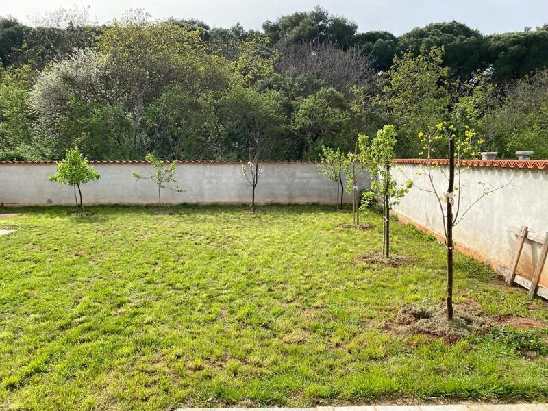 Apartment Orangina - image 21