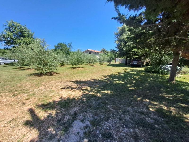 Apartment Orangina - image 28