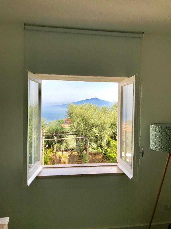 Sorrento Olive Tree Garden - image 23