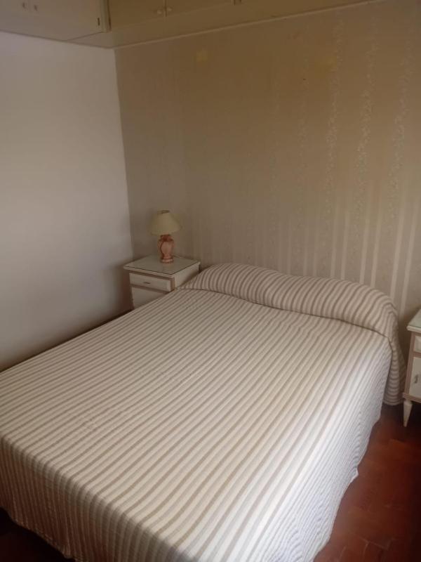 Dto 2 Amb Zona Centro - image 8