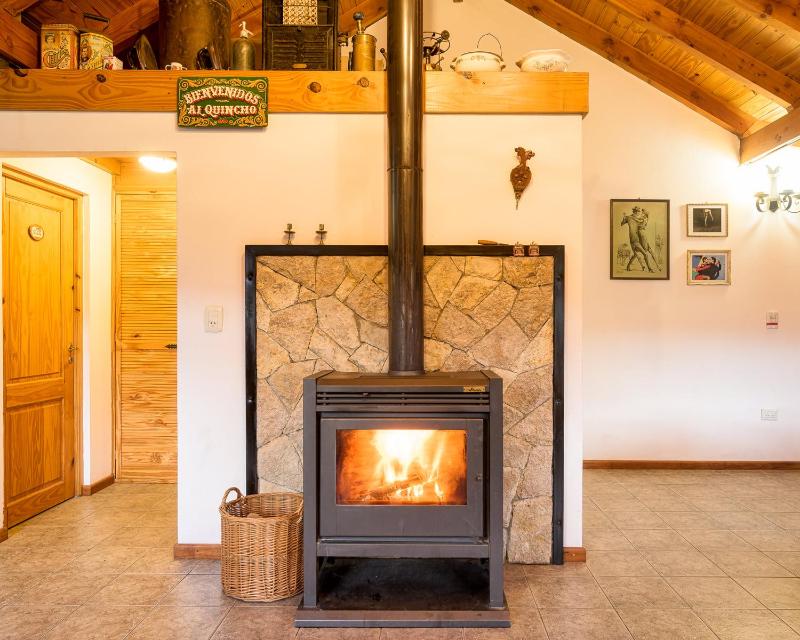 Apartments Bariloche - San Martin de los Andes Lodge - image 16