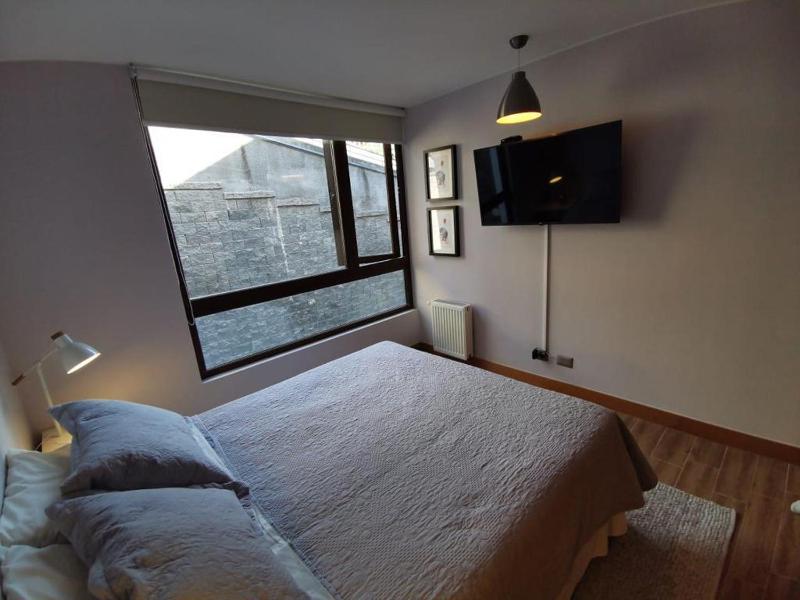 Apartment in Pucon with a view and access to the lake - image 28