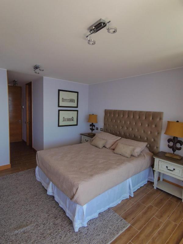 Apartment in Pucon with a view and access to the lake - image 13