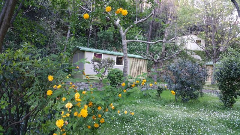Superior Chalet (2 persons) image 2