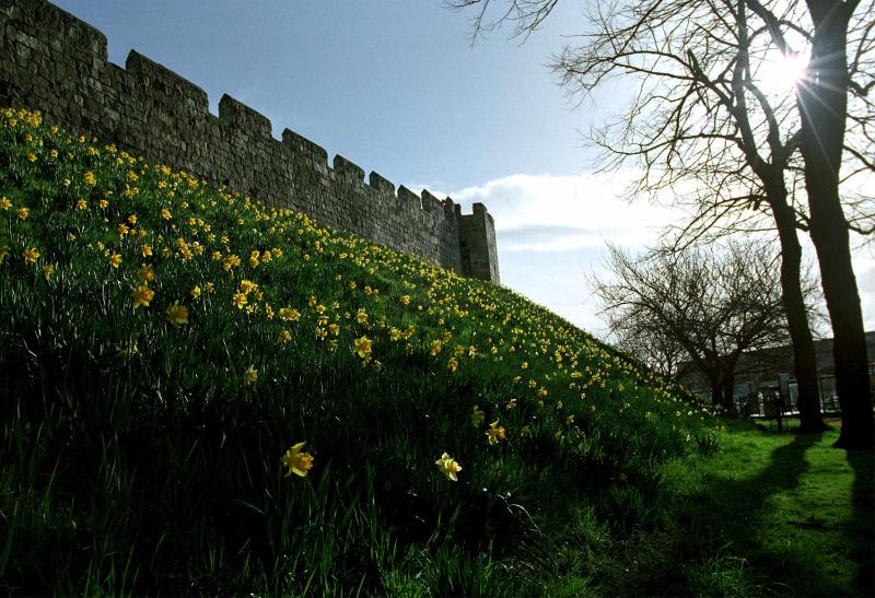One-Bedroom Apartment image 1