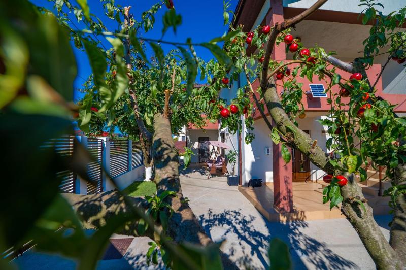 Casa Voicu - image 14