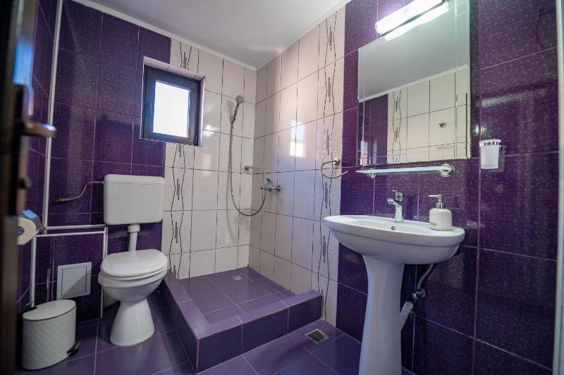 Casa Voicu - image 15