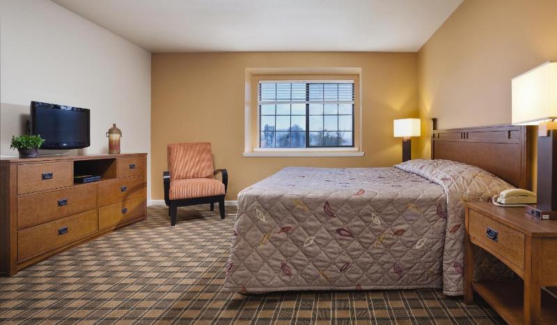 One-Bedroom Apartment image 1