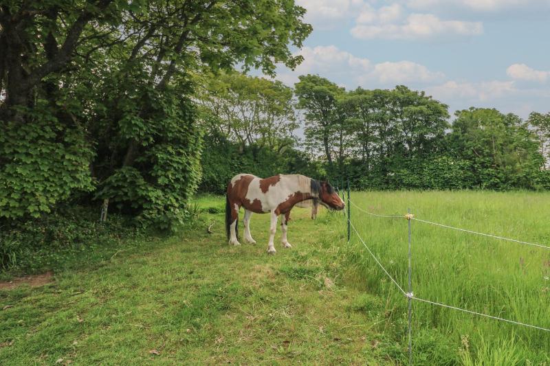 The Stable - image 4