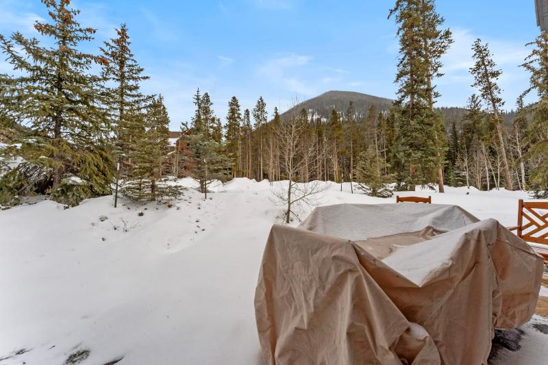 Ski Tip #8716 - image 12