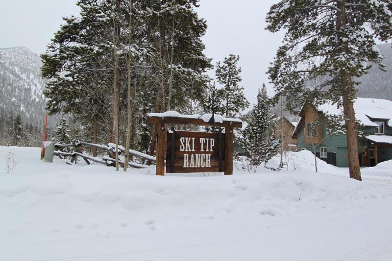 Ski Tip #8716 - image 38