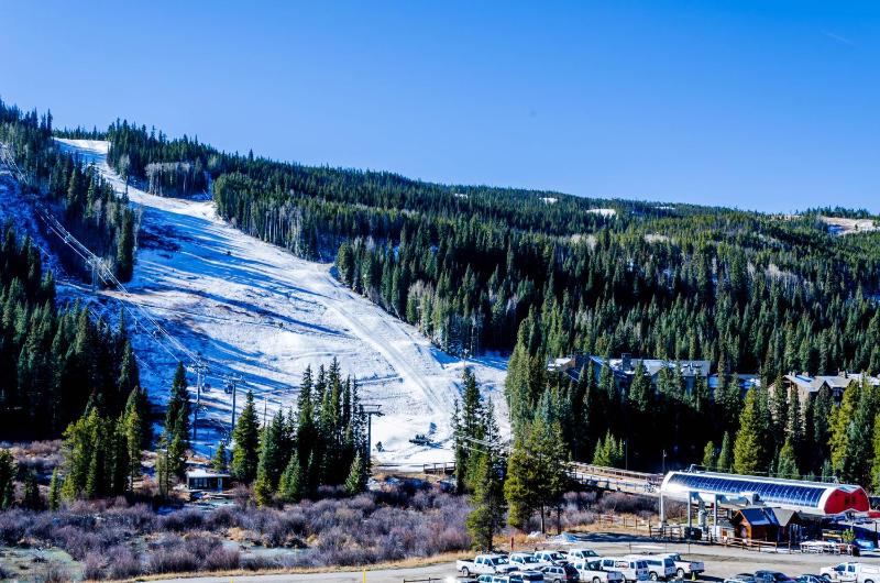 Ski Tip #8716 - image 2
