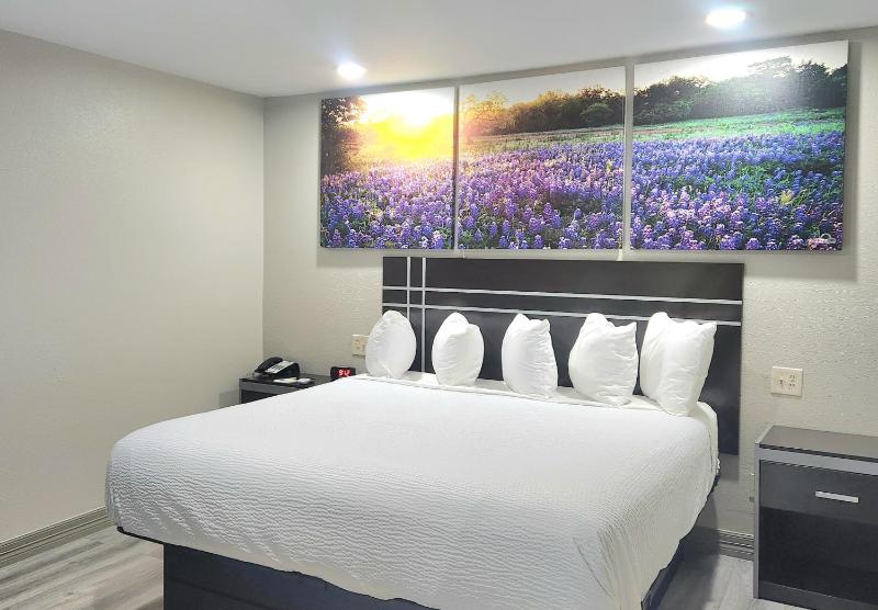 King Room - Accessible/Smoking image 4