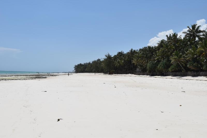 Galu Inn - image 15