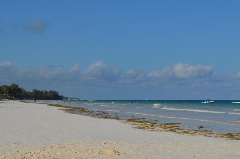 Galu Inn - image 10