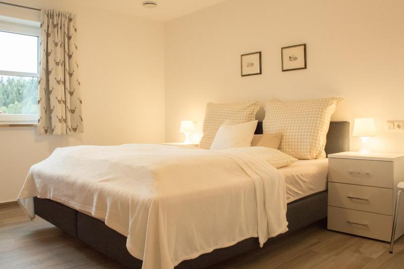 One-Bedroom Apartment image 4