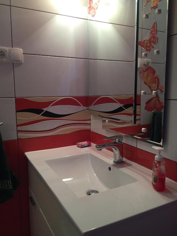 Studio Apartment image 4