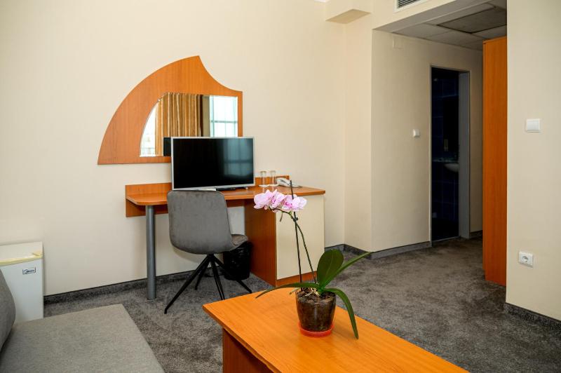 Junior Suite (2 Adults + 2 Children) image 1