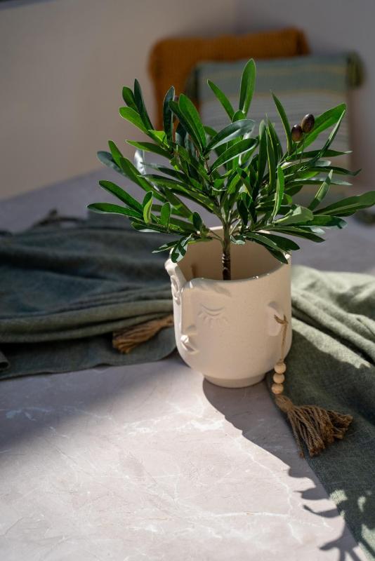 Selected Suites - image 12