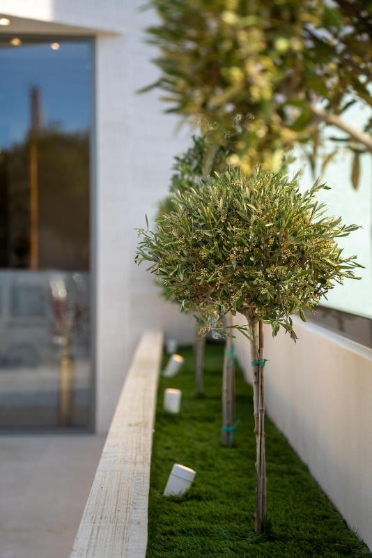 Selected Suites - image 39