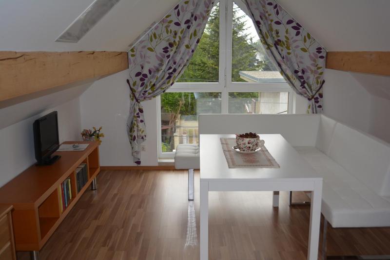 Studio Apartment image 3