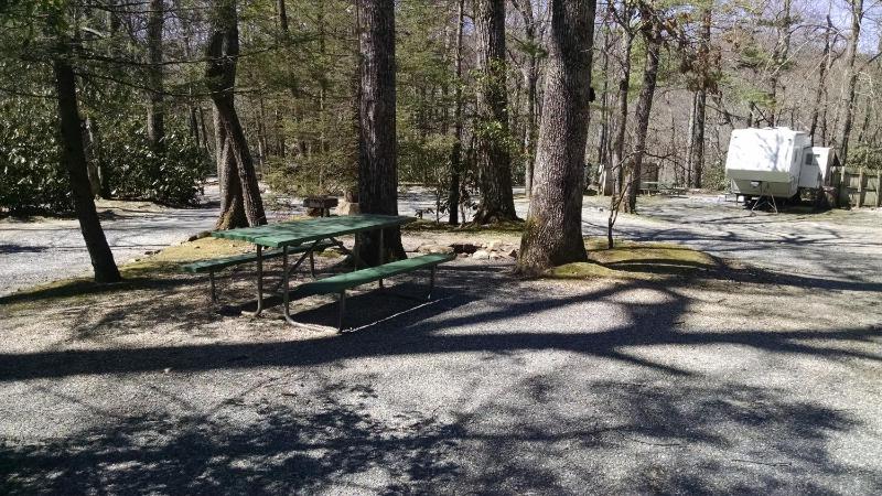 30 ft max RV Site Rental - Standard Pull Thru Full Hook Up 30 AMP BRING YOUR OWN RV image 2