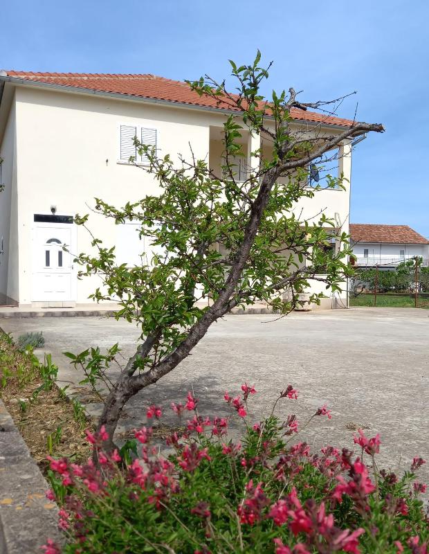 Apartments Tomislav - image 15