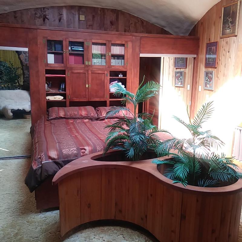 Deluxe King Suite image 1