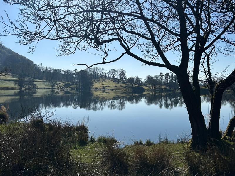Puddleduck - image 18